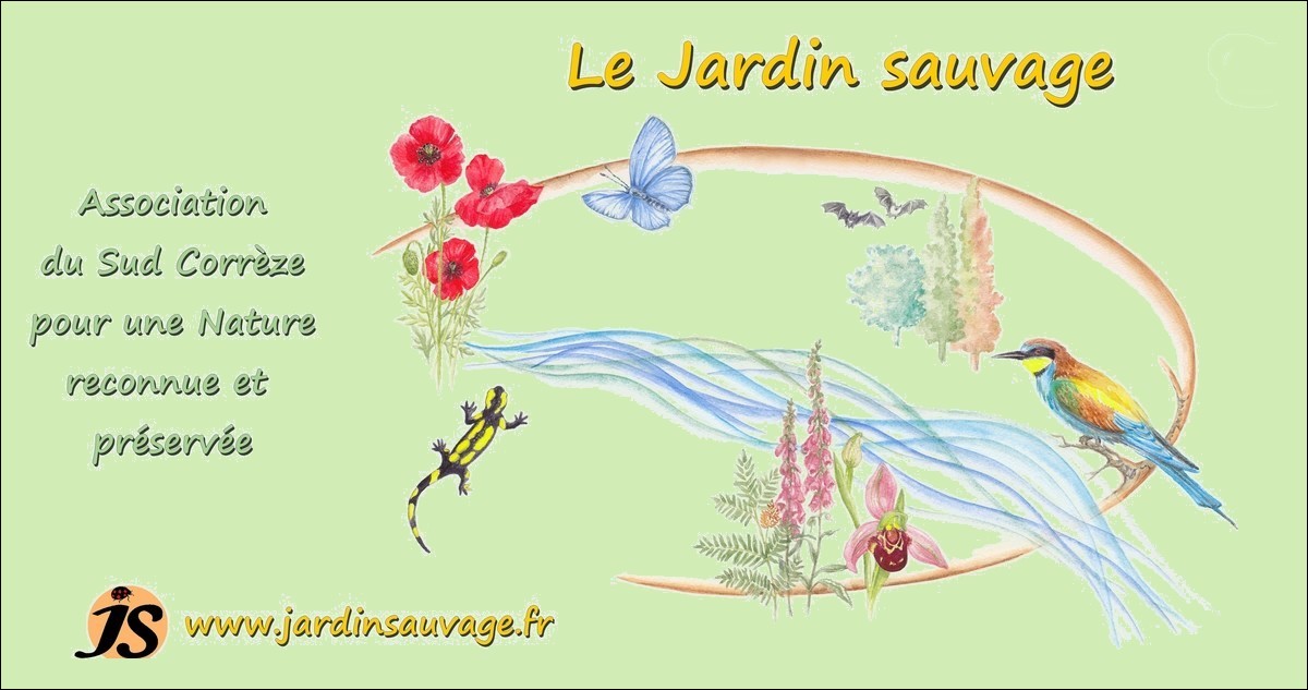 le Jardin sauvage