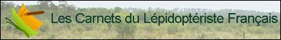 Les Carnets du Lepidopt�riste fran�ais