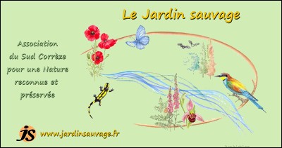 le Jardin sauvage