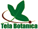 Tela Botanica