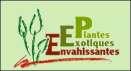Observatoire Régional des Plantes Exotiques Envahissantes (PEE) du Limousin
